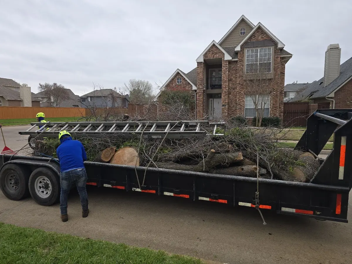 Expert Lot Clearing with proper safety equipment in Trenton
